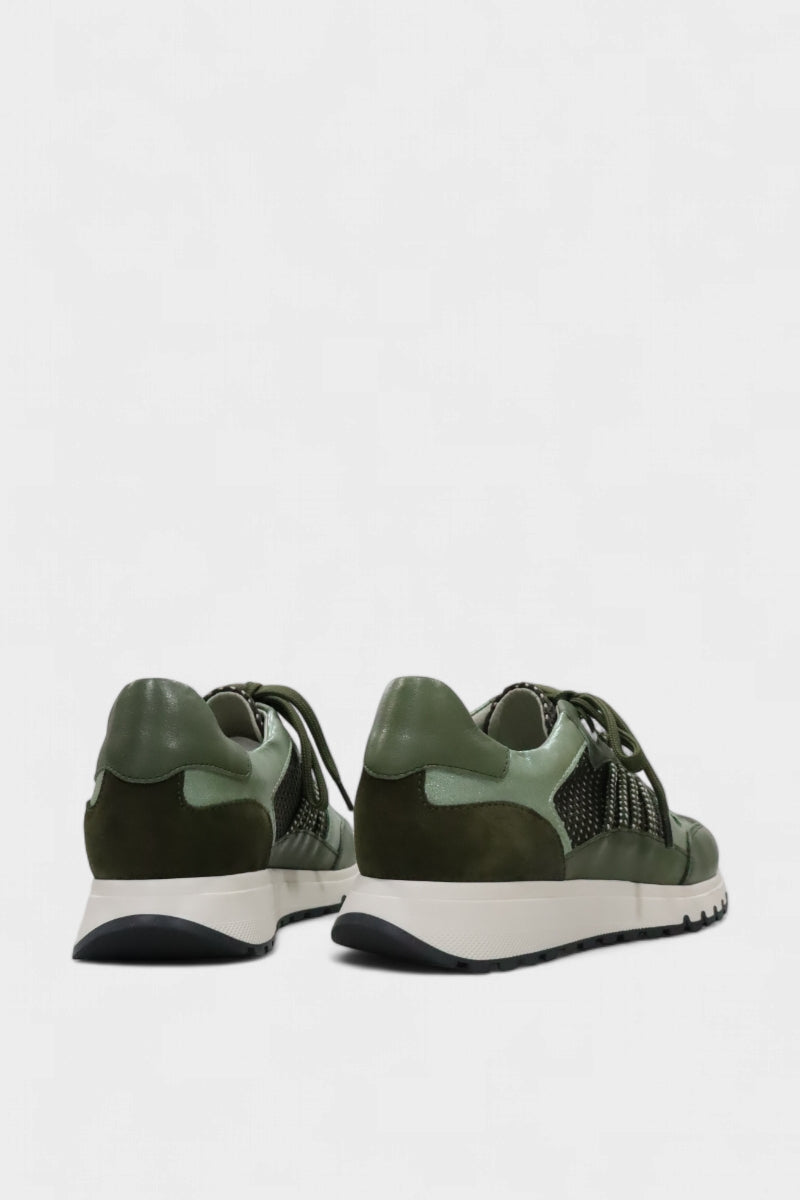Verde