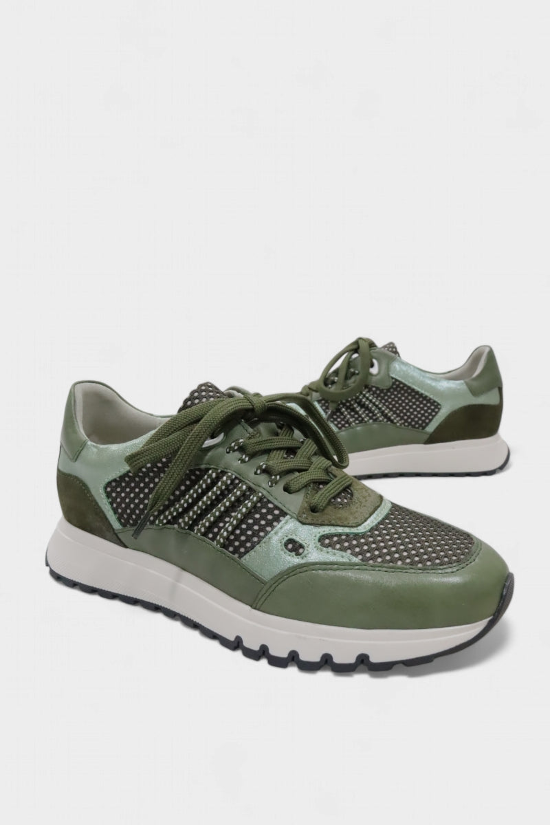 Verde