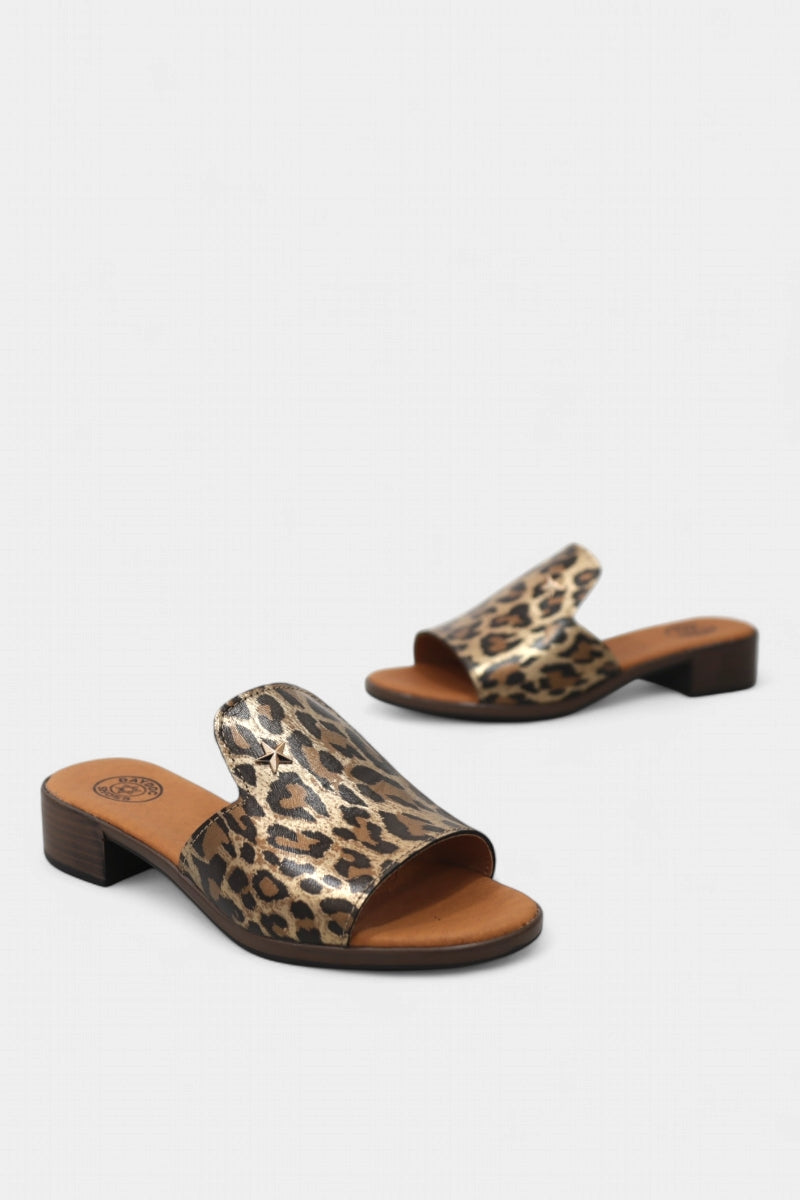 Chinelo de Mulher BLOIS 25134