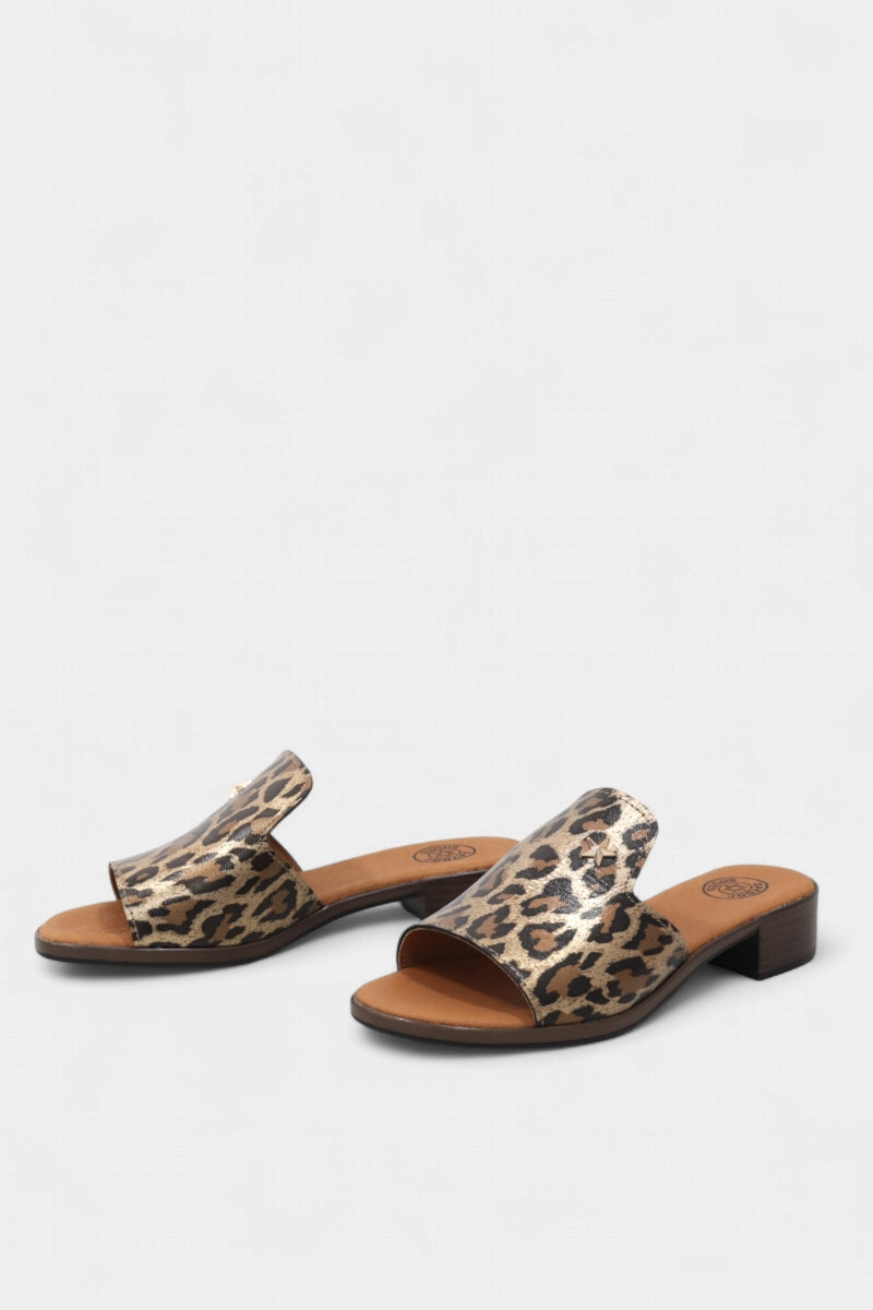 Chinelo de Mulher BLOIS 25134