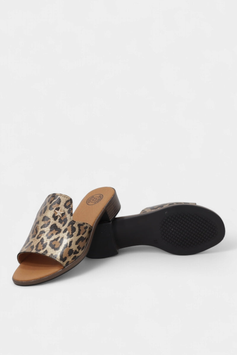 Chinelo de Mulher BLOIS 25134