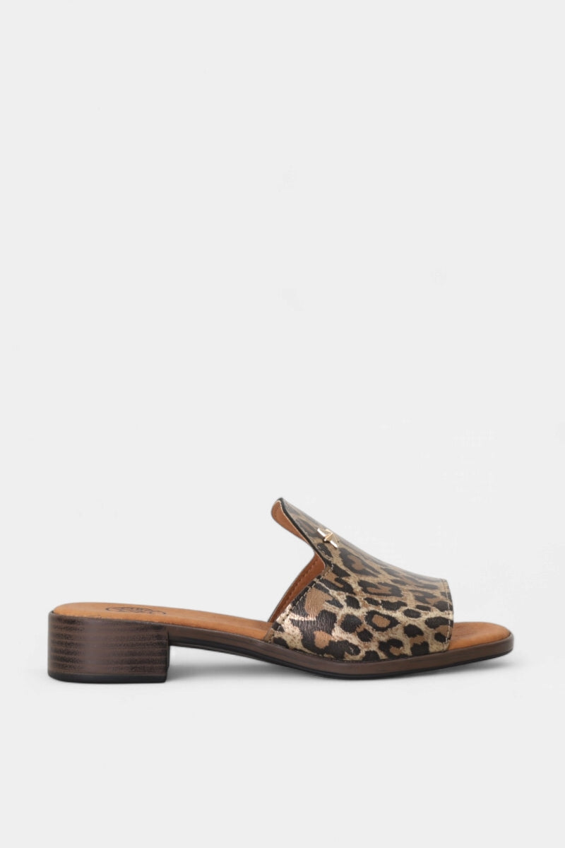 Chinelo de Mulher BLOIS 25134